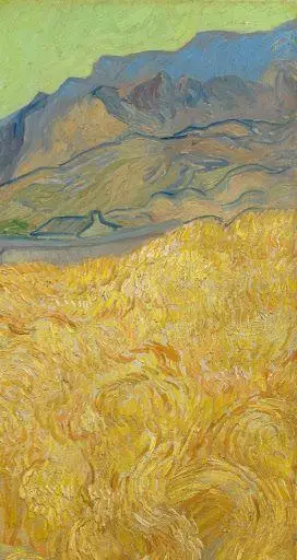 一起欣赏梵高大师的麦田守望者系列油画作品