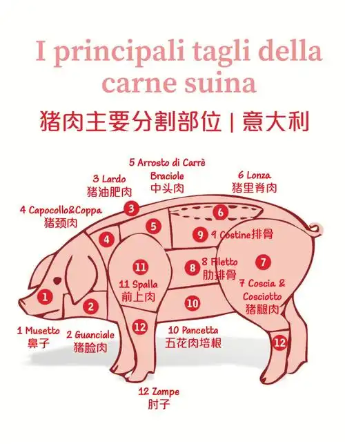 猪肉部位在意大利怎么挑?你真的会吃🐷吗?