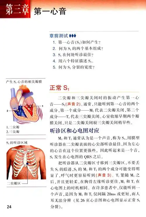 听诊技巧呼吸音及心音第5版