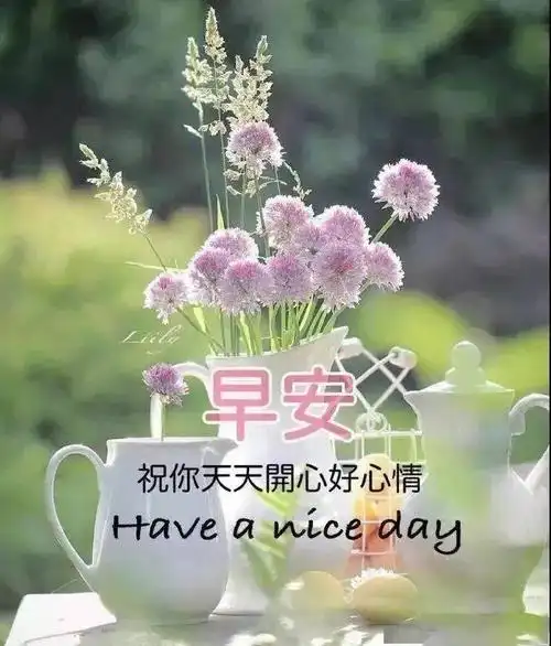 特别漂亮的早安鲜花图片带字超暖心的清晨问候语大全