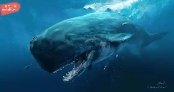 ▏美国展出泰坦巨龙 美国泰坦巨龙_社会新闻_南方网