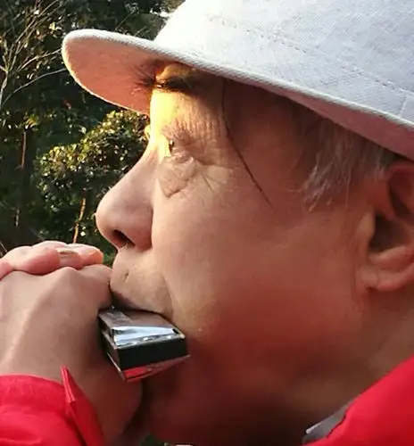 静安公园里的口琴声