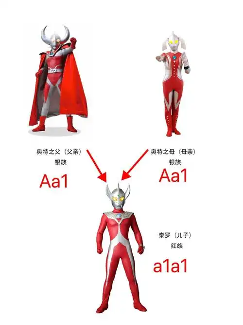 奥特之父和奥特之母都是银族,他们的儿子泰罗是红族,说明银族(a)相对