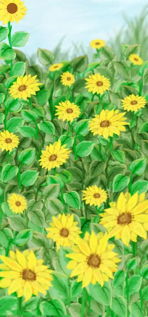 【万元征集荣耀v20壁纸】向日葵田