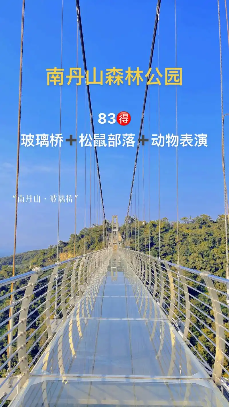 广东最长の玻璃桥!05一定要感受一下把世界踩在脚底下的感 - 抖音