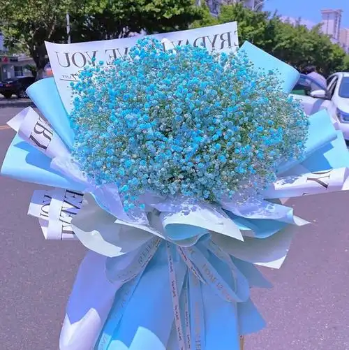 蓝色满天星的花语文案(蓝色满天星的花语和祝福语)