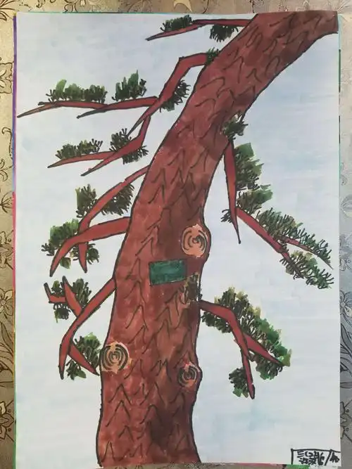 画古树--三2