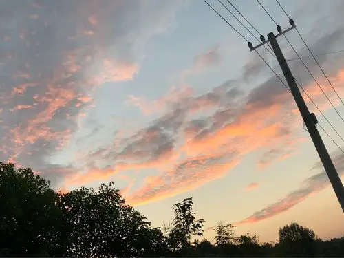 我们必须为了生活忙碌.现实是残酷的所以必须努力