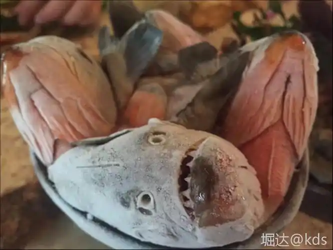 被食人鱼啃掉的男孩