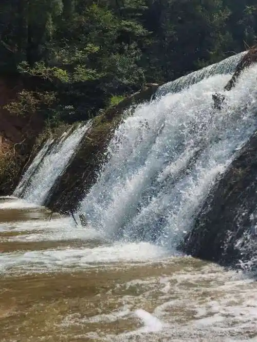 河南省双龙山省级森林公园免费开放