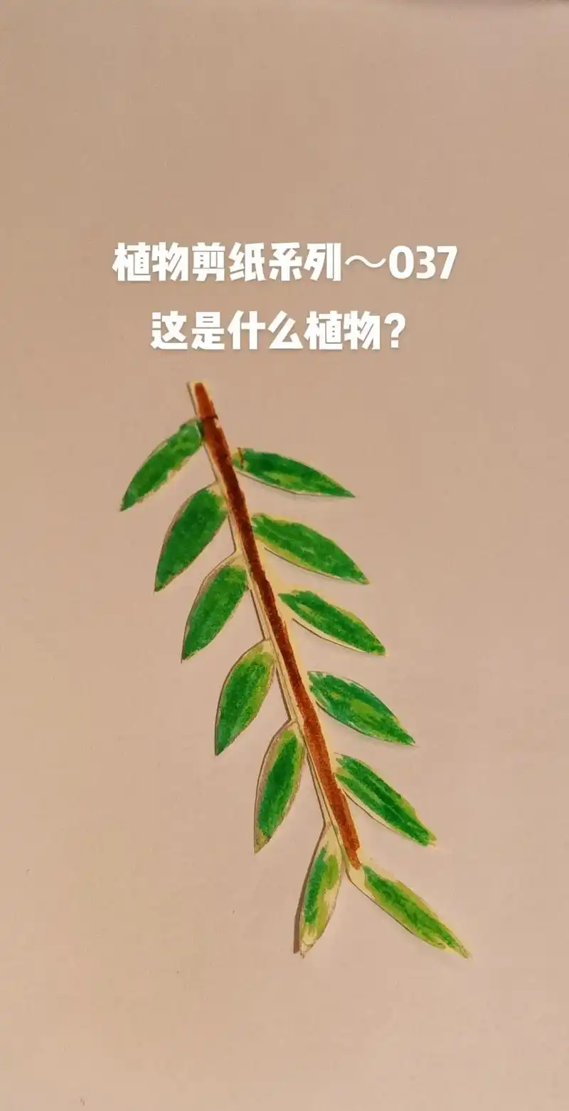 植物剪纸系列037#传统文化 #纯手工打造 #剪纸艺术 #好 - 抖音