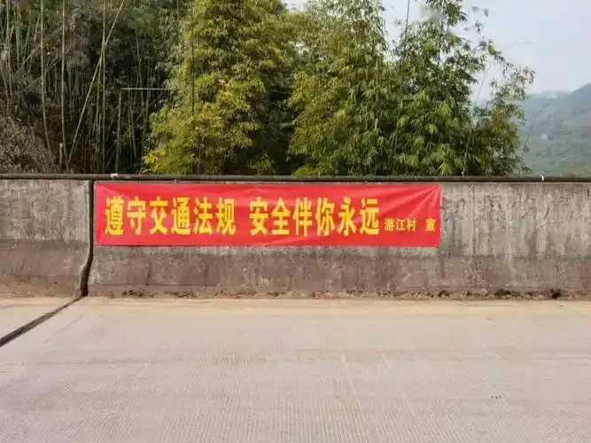 新妙镇开展交通安全宣传 提高安全意识