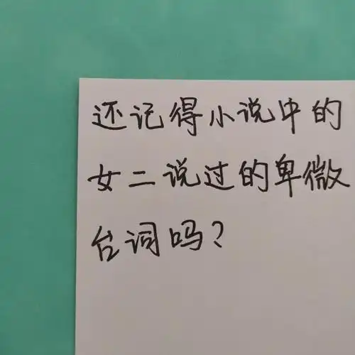 还记得小说中的卑微台词吗
