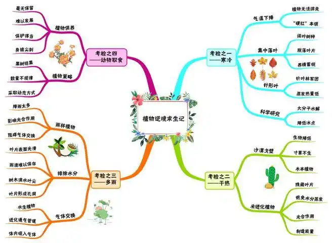将科普文章变成思维导图活动第一期植物逆境求生记寻找思路清晰的你