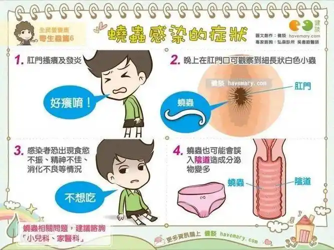 科普蛲虫的奇特生命之旅