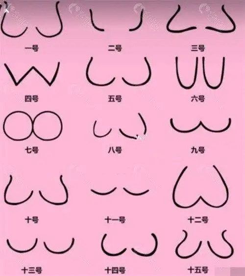 不同胸型详细照片