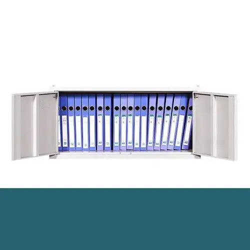 域赢文件柜更衣柜