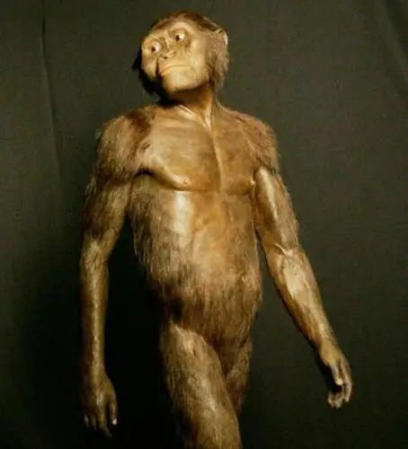 320万年前的人类祖先"露西"可以在树上攀爬和陆地行走