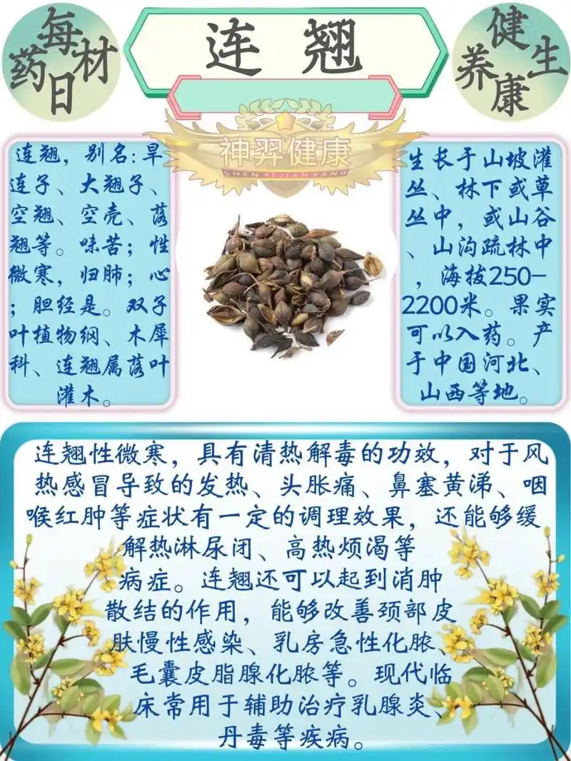 连翘——清热解毒,消肿散结 连翘的功效与作用95 1,清热解毒 用于