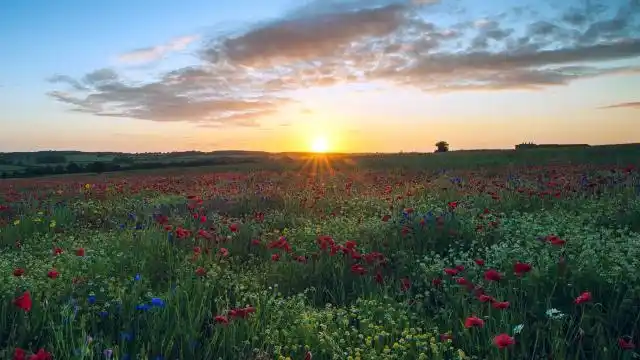 清晨太阳升起来最美的风景