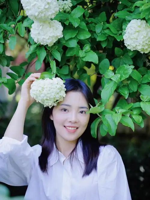 拍到了大学校花紫凤公园木绣球1