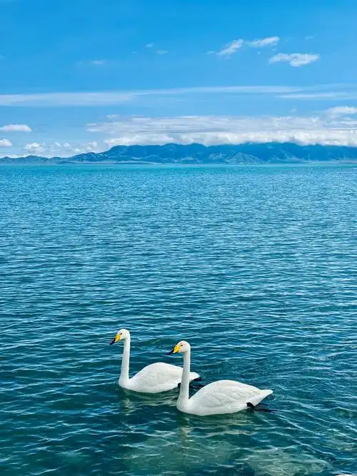 赛里木湖真的太美了