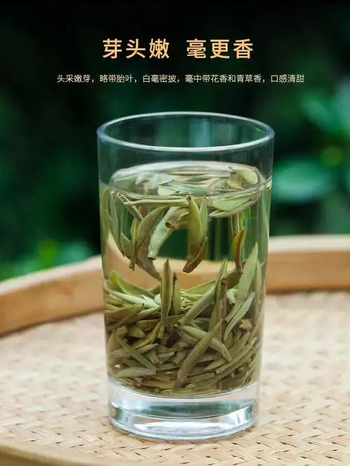 这样的白毫银针你爱嘛