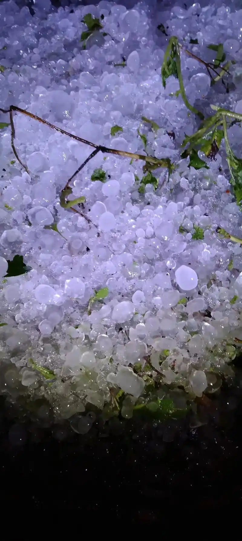 下冰雹…#随手一拍都是美景 - 抖音