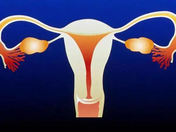 真石女属于先天性的阴道缺失或者阴道闭锁,指生殖器官中阴道或者是