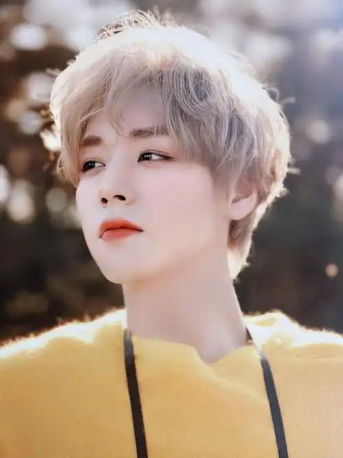 朴志训 cr:眨式心动法