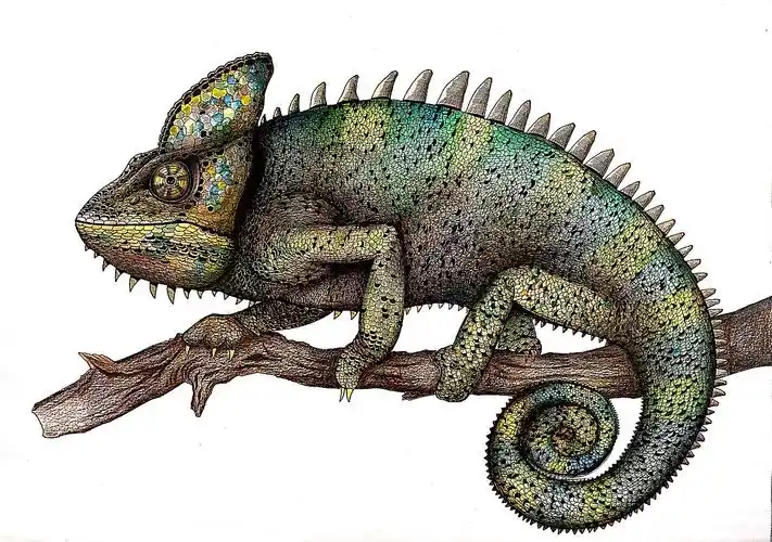 变色龙|纯艺术|绘画|余家雯 - 原创作品 - 站酷 (zcool)