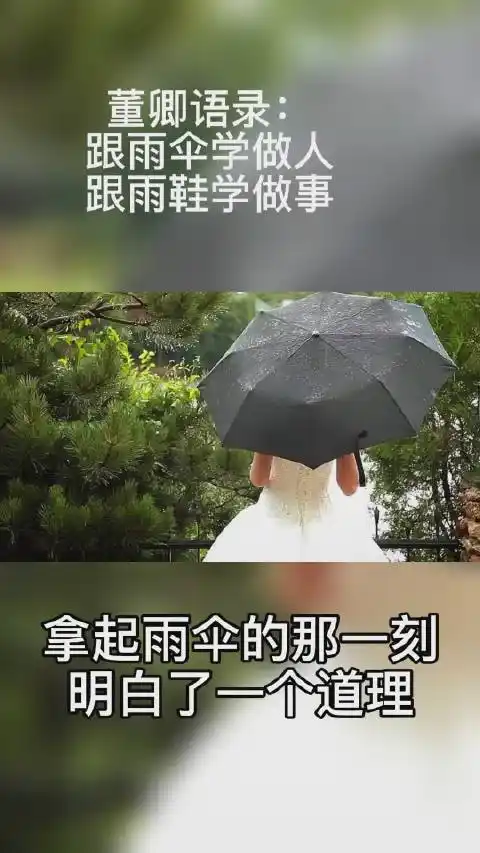 董卿语录跟雨伞学做人跟雨鞋学做事