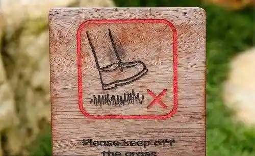 觥筹交错怎么读踽踽踯躅怎么读