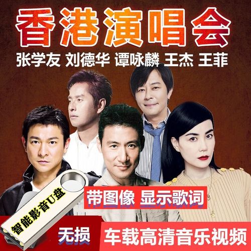 张学友刘德华谭咏麟王菲王杰演唱会车载音乐u盘视频