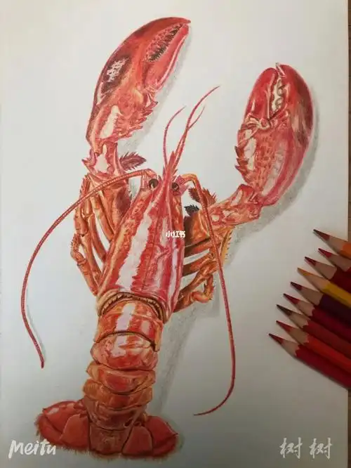 彩铅大龙虾