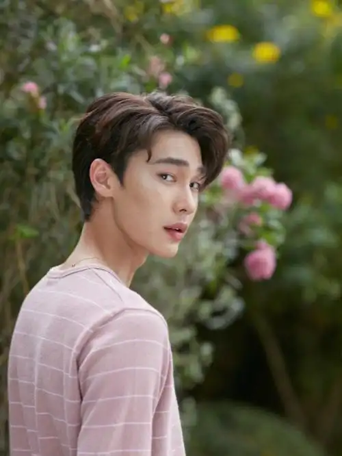 流星花园花泽类丢丢