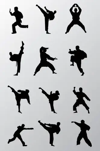 武术动作矢量素材