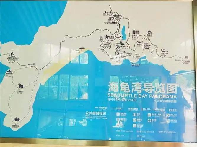 深圳长安车友会475风扇哥惠洲海龟岛之行观光赏海龟