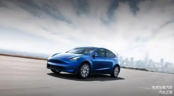 拼多多神助攻为何惹怒了特斯拉