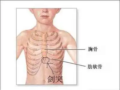 这是由于宝宝身体较瘦,腹部没有什么肉,于是胸骨尾端的剑突显得比较