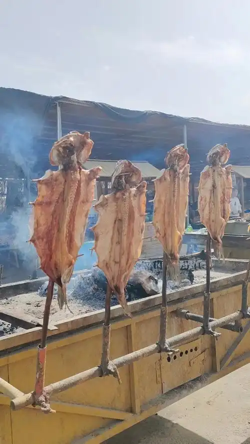 罗布人村的古法烤鱼真给力