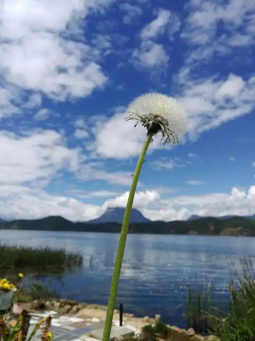 一方净土——"女儿国"泸沽湖