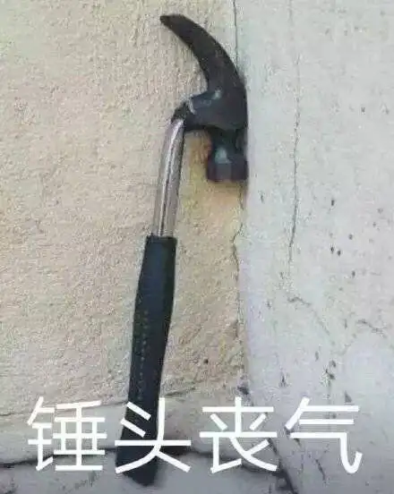 图片-皮蛋表情包