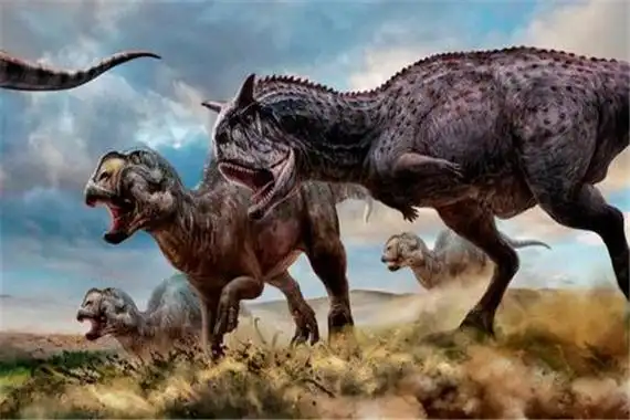 阿贝力龙:一种生活在白垩纪时期的恐龙(肉食性恐龙)