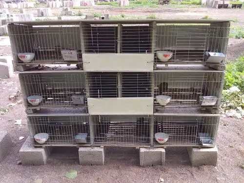 【隆盛】厂家直销各种款式水泥兔笼兔舎 长期批发 质量保证