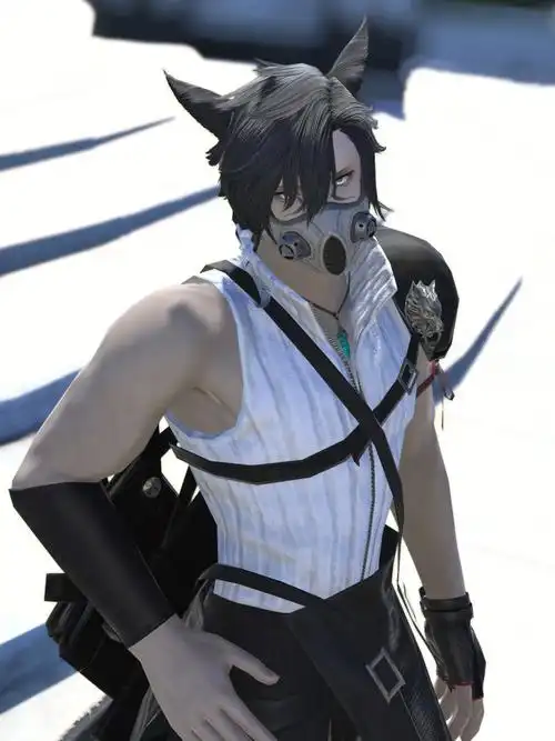 亲友的猫男顶级帅——#最终幻想14  #ff14  #佣兵头猫男