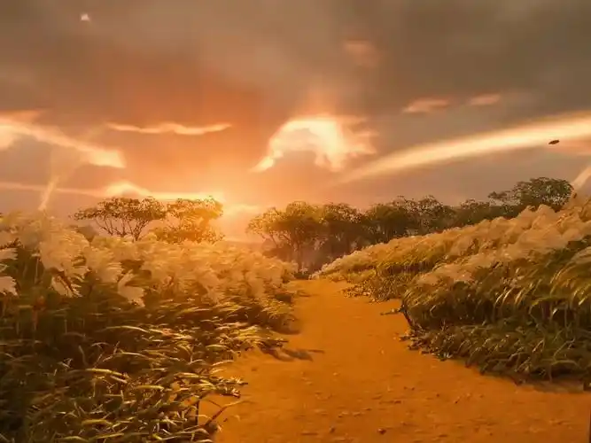 (sjy100)唯美治愈系风景高清视频素材10