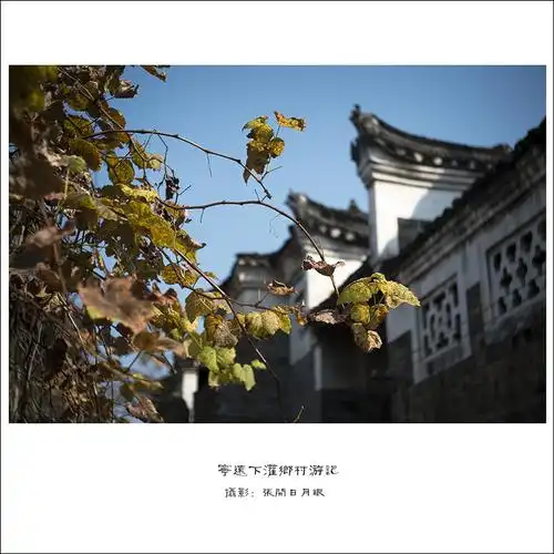 湖南  永州旅游攻略  宁远  古村落  图片  摄影  中国古村落 作品