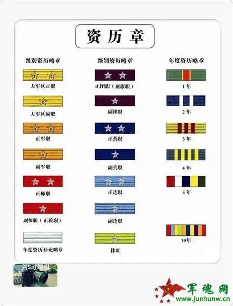 武警军衔与官职怎么看?-帮我看下这是武警什么军衔