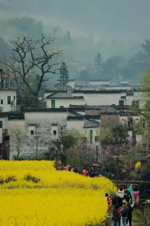 别再问雨天能不能去婺源,我的答案是冲  图片均为去年我们雨天在婺源